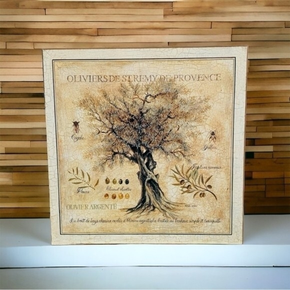 Pascal Cessou Olive Trees Saint Rémy Provence Framed Art Print Wood Frame Italy